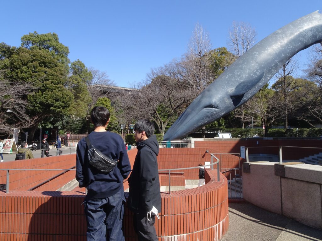 ホーム旅行
