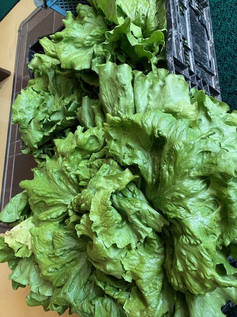 ありがとうございます。（寄贈）