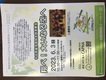 ご案内（和太鼓演奏クラブ）