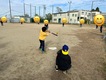ソフトボール活動