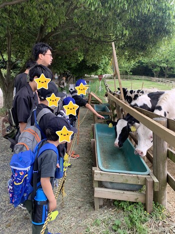 hinokihinokihinoki222221.jpg
